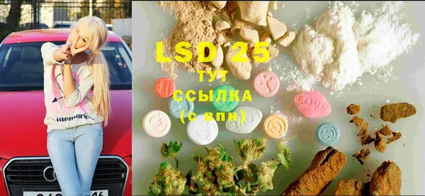 ECSTASY Алзамай