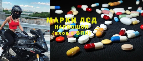 ECSTASY Алзамай