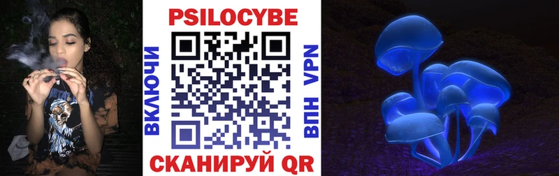 hydra как войти  Кондопога  Псилоцибиновые грибы прущие грибы 